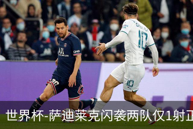 世界杯-萨迪莱克闪袭两队仅1射正 捷克半场暂1-0南非