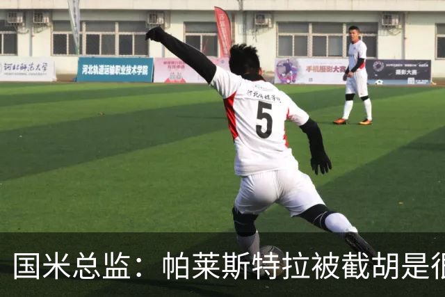 国米总监：帕莱斯特拉被截胡是很正常的事 我们与英超有经济差距