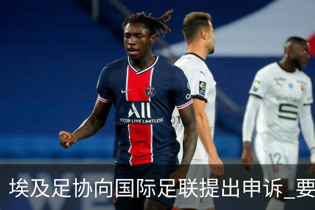 埃及足协向国际足联提出申诉 要求调查主裁的严重误判