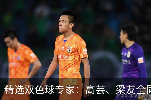 精选双色球专家：高芸、梁友全同中二等279万！